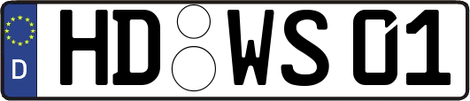 HD-WS01