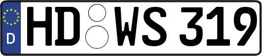 HD-WS319