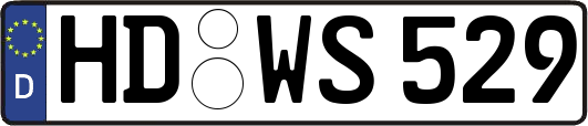 HD-WS529