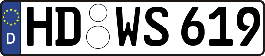 HD-WS619