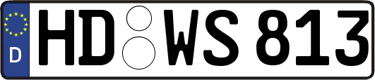 HD-WS813