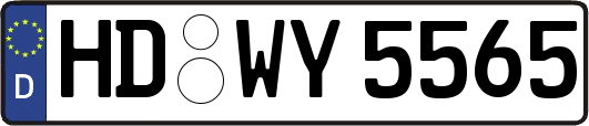 HD-WY5565