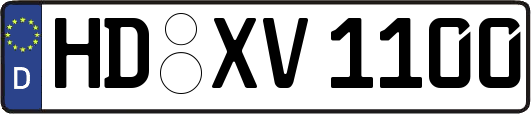 HD-XV1100