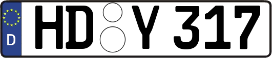HD-Y317