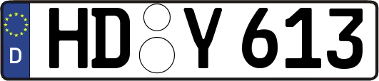 HD-Y613