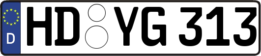 HD-YG313