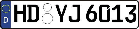 HD-YJ6013
