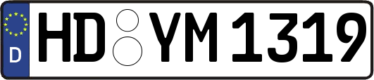 HD-YM1319