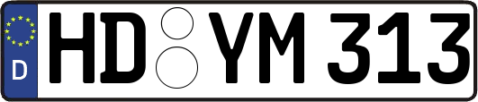 HD-YM313