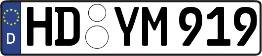 HD-YM919