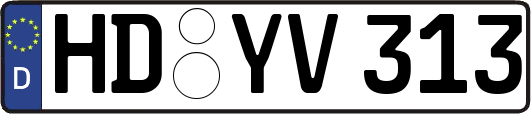 HD-YV313