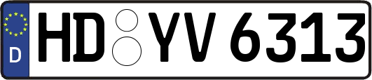 HD-YV6313
