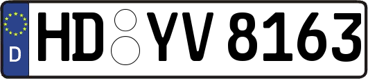 HD-YV8163
