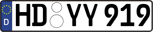 HD-YY919