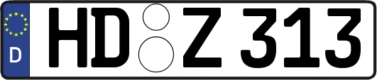 HD-Z313