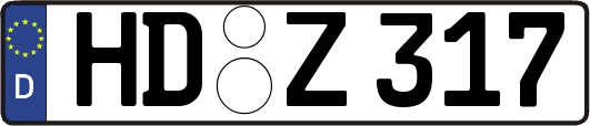 HD-Z317