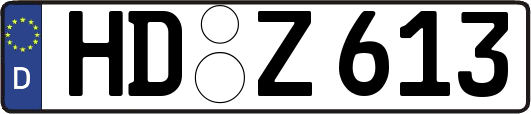 HD-Z613
