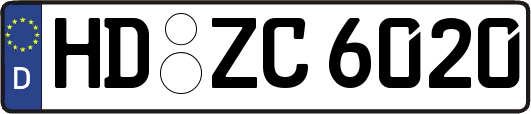 HD-ZC6020