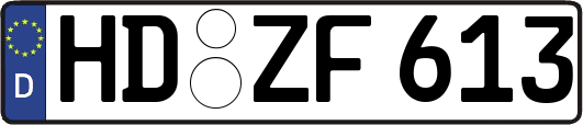 HD-ZF613