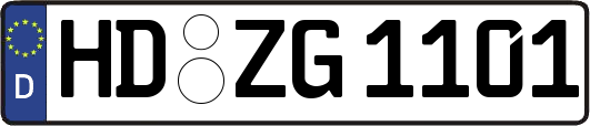 HD-ZG1101