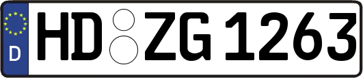 HD-ZG1263