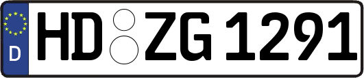 HD-ZG1291