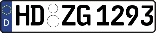 HD-ZG1293