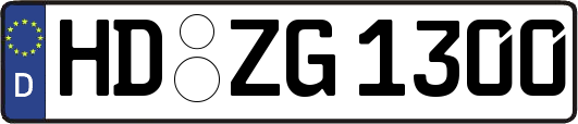 HD-ZG1300