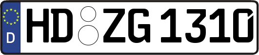 HD-ZG1310