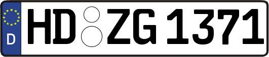 HD-ZG1371