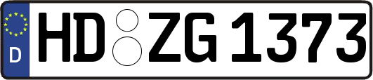 HD-ZG1373