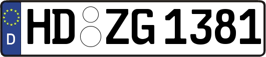 HD-ZG1381