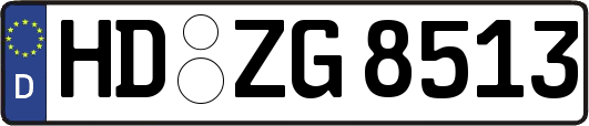 HD-ZG8513