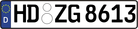 HD-ZG8613