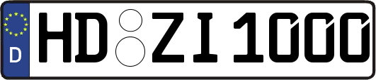 HD-ZI1000