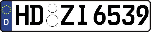 HD-ZI6539