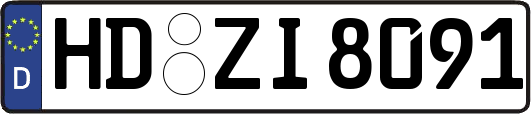 HD-ZI8091