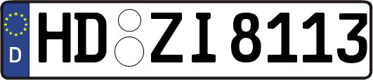 HD-ZI8113