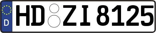 HD-ZI8125