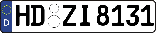 HD-ZI8131