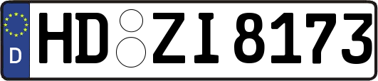 HD-ZI8173