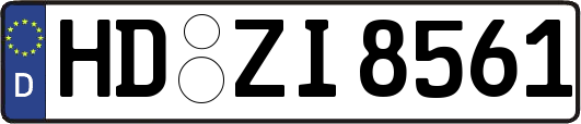 HD-ZI8561