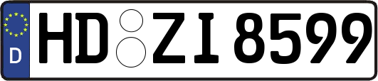 HD-ZI8599