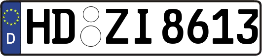 HD-ZI8613