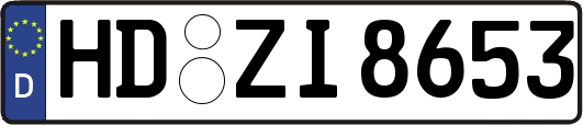 HD-ZI8653