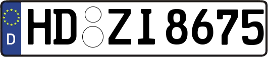 HD-ZI8675