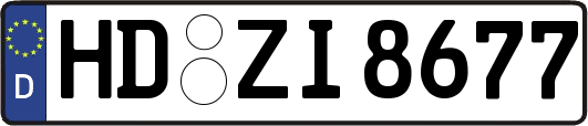 HD-ZI8677