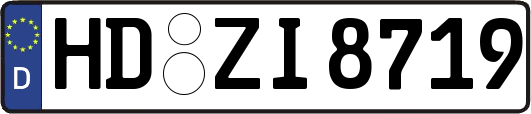 HD-ZI8719