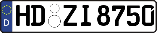 HD-ZI8750