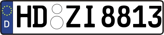 HD-ZI8813